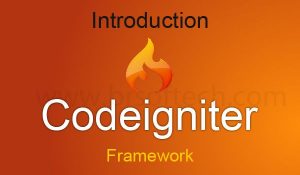 codeigniter image