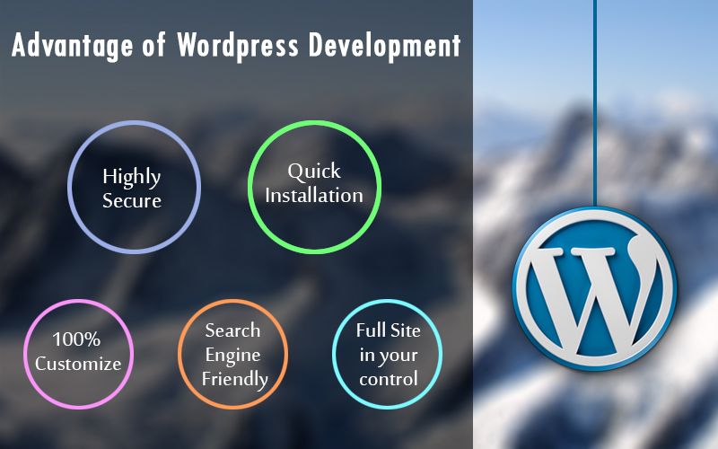 Wordpress Masterclass