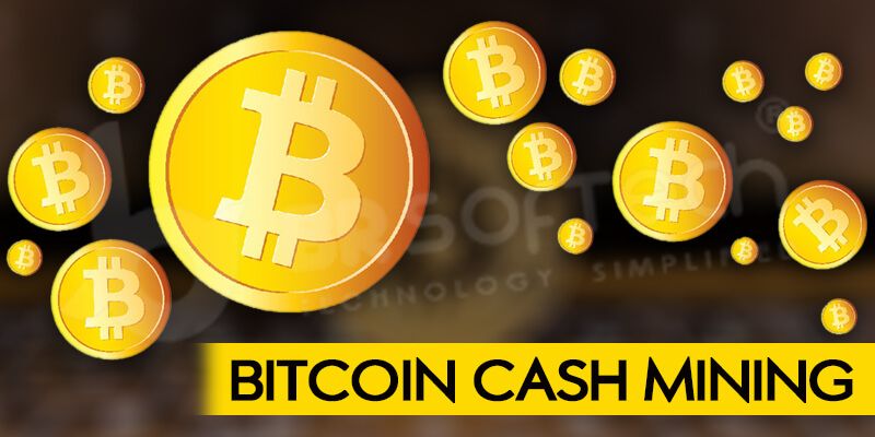 A Step By Step Guide To Bitcoin Cash Mining Br Softech - 