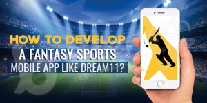 How to Develop a Fantasy Sports Mobile App like Dream11