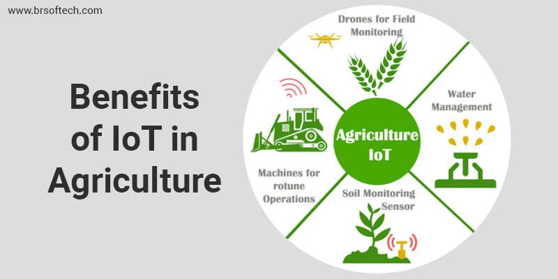 The Benefits of internet of things (IoT) in agriculture industry
