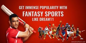 Get Immense Popularity with Fantasy Sports like Dream 11