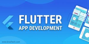 Flutter App Development