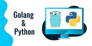 Golang & Python