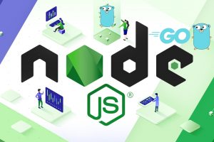 Which One best Web Developer to Choose