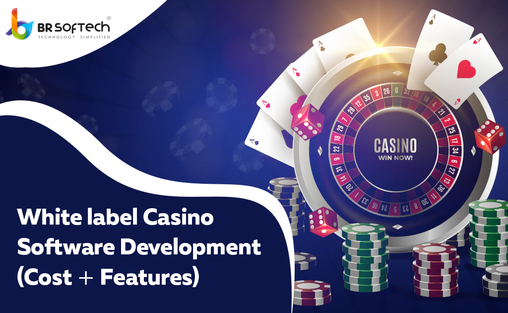 White label Casino Software Development- Cost & Features - BR Softech