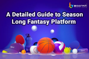 A Detailed Guide to Season Long Fantasy Platform