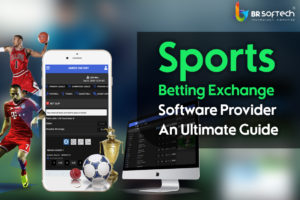 Sports Betting Exchange Software Provider: An Ultimate Guide