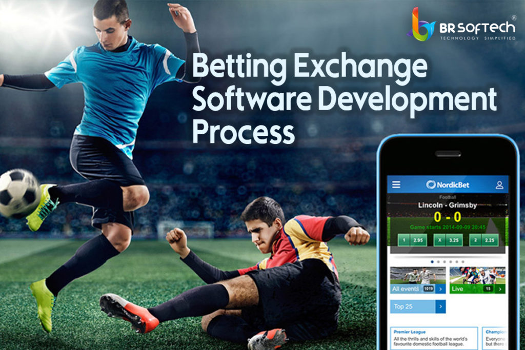 Betting Exchange Software Development Process
