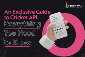 An Exclusive Guide to Cricket API - Everything You Need to Know