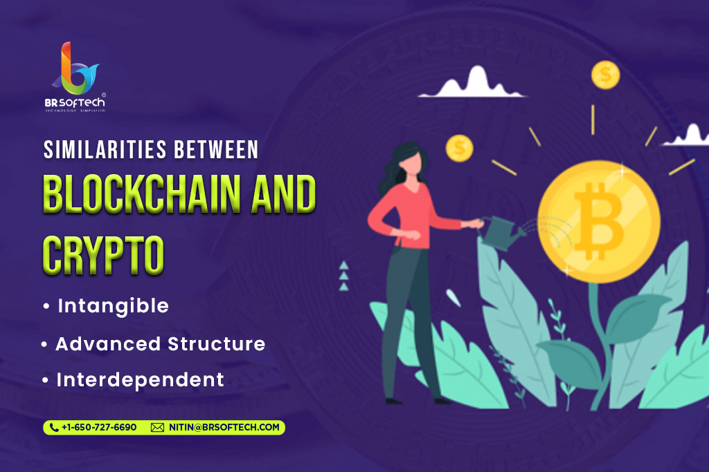 Similarities Between Blockchain & Crypto 