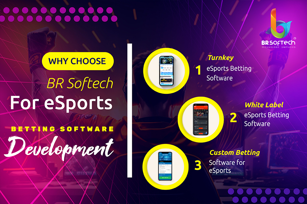 Esports Tournament Platform Development  Tournament Management Software -  BR Softech