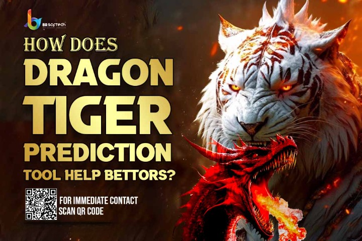 How does Dragon Tiger Prediction Tool help Bettors?