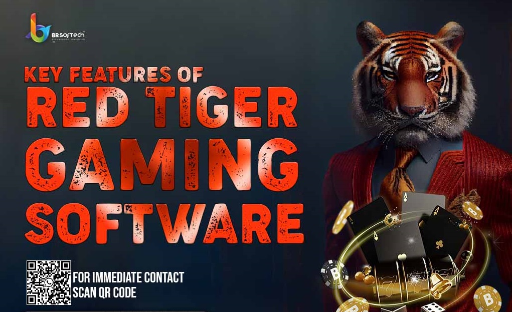 Key Features of Red Tiger Gaming Software 