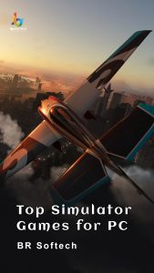 Top Simulator Games for PC