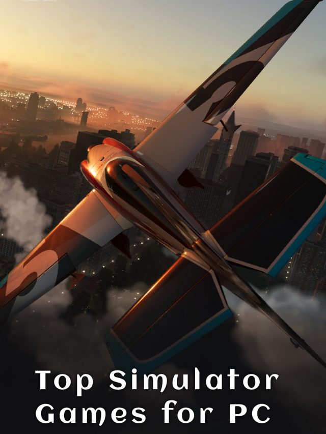 Top Simulator Games for PC