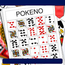  Pokeno