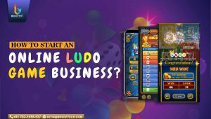 How to Start an Online Ludo Game Business in 2025?