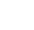 Custom application development