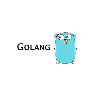 hire golang developers hire golang developers