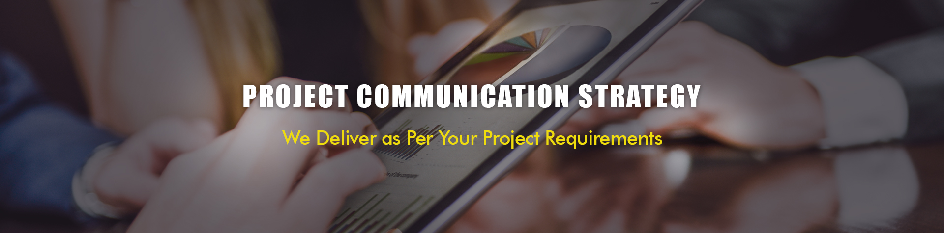 Project Strategy
