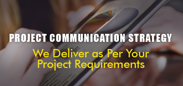 Project Strategy