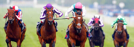 HORSE RACING BETTING APP HORSE RACING BETTING APP