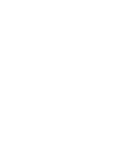 Hyperledger Indy Blockchain Development