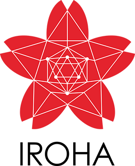 Hyperledger Iroha Blockchain Development