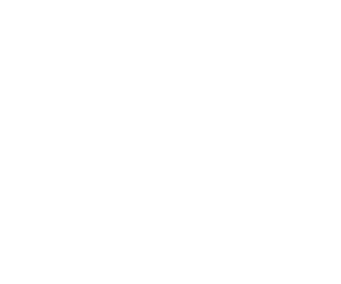 HIRE DEDICATED SALESFORCE DEVELOPER